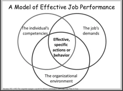 Figura 3.1 - Modelo de desempenho profissional efetivo  