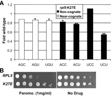Table 3. Survey of isogenic wild-type and mutant pairs of strains with seven different codons at codon 218 of firefly luciferase.