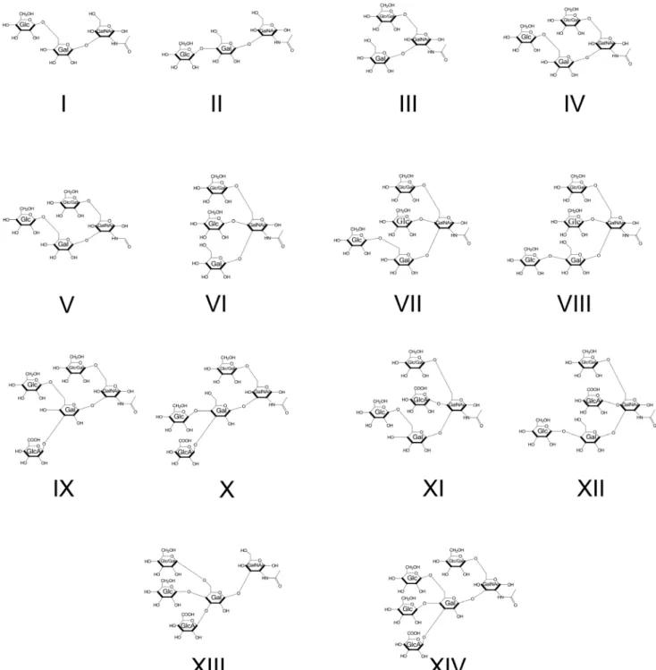 Figure 3. The structural configurations of the Ce core-I O -glycans defined in this study are shown.