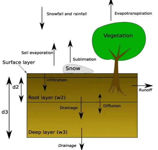 Fig. 1. Schematic representation of the ISBA model. The main fluxes of the water cycle are represented by arrows