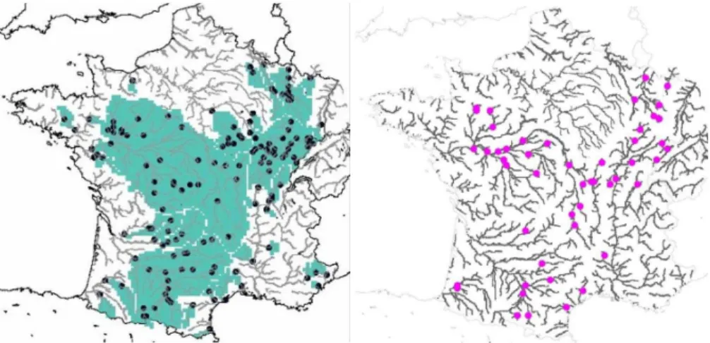 Fig. 5. Maps of the 148 assimilated stations used for computing the scores in the text and the ISBA grid meshes modified by the BLUE (left) and the 49 stations used for the independent validation of the assimilation system (right).