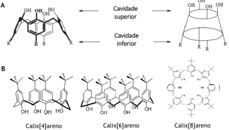 Figura 11- (A) Estrutura da molécula calixareno e suas cavidades. Adaptado de (Sirit &amp; Yilmaz, 2009); (B)  Diferentes tamanhos de calix[n]arenos