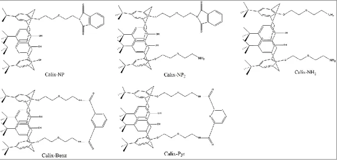 Figura 17- Compostos cíclicos sintetizados derivados de calixarenos e seus intermediários