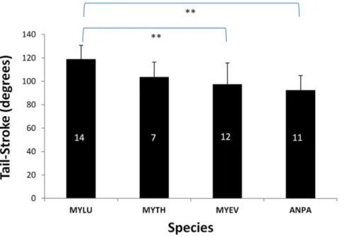 Table 1. Post hoc Tukey-Kramer Multiple-Comparison Test showed significant differences (DF = 35, Critical Value = 3.814, Alpha = 0.05) among vespertilionid species in degree of  tail-membrane sweep during takeoff from a horizontal platform.