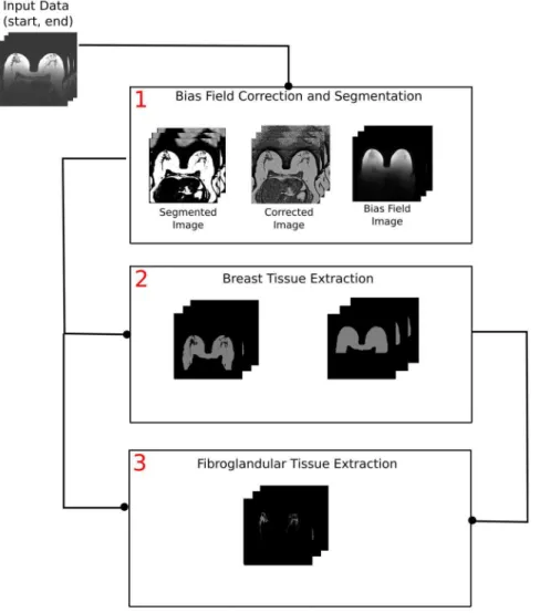 Figure 5. An overview of the automated breast density evaluation framework. The approach consists of three main steps: segmentation and bias field correction, breast tissue delineation, and fibroglandular tissue extraction