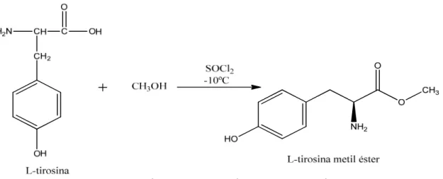 Figura 10: Síntese do intermediário L-tirosina metil éster. 