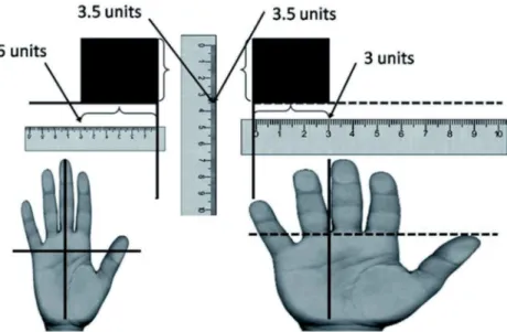 Figure 8.  Screenshots of the different hand size conditions in Experiment 3.  