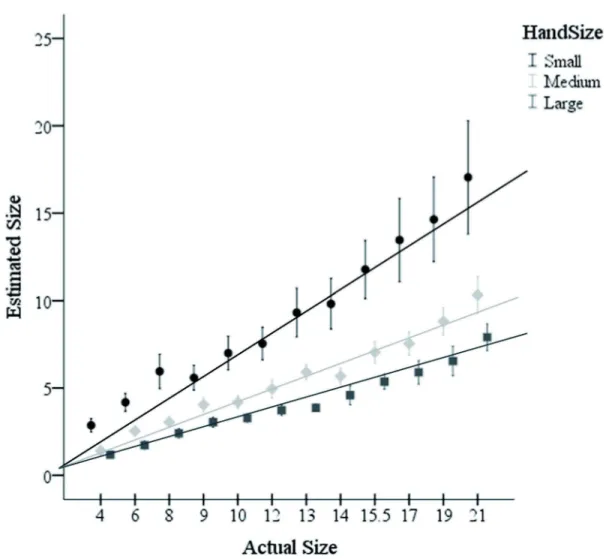 Figure 3.  Linear trends of the verbal estimates across different sized objects in the three hand size conditions