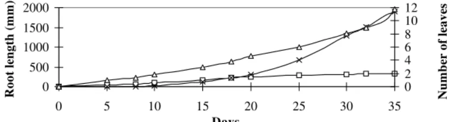 Figure 5. Root development of large crabgrass in pots from 30th June to 4th August in 1997  0500100015002000 0 5 10 15 20 25 30 35 DaysRoot length (mm) 02468 1012 Number of leaves