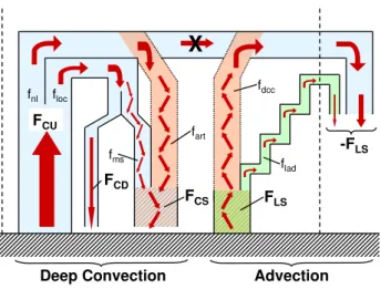 Fig. 1. Schematic of the mass fluxes and fractional components discussed in the text. The pa- pa-rameterized transport by deep convection is on the left, the components of simulated advective transport are on the right
