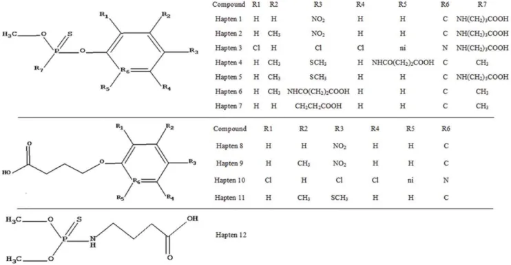 Figure 2. Schematic diagram of ICA test strip and result judgment. The ICA test strip was composed of the NC membrane, MAb-gold-conjugated pad, sample pad and absorbent pad, which were pasted onto an adhesive plastic backing