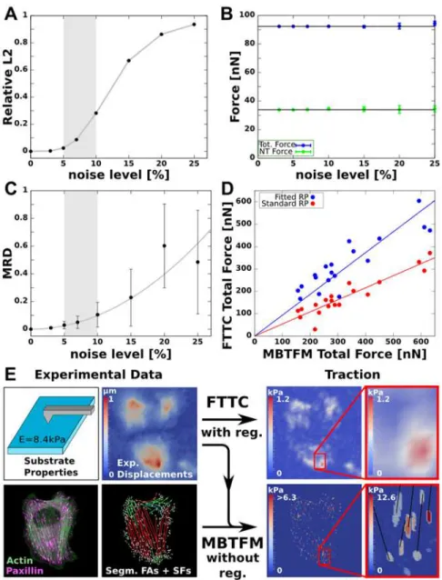 Fig 4. Robustness of MBTFM and comparison with FTTC. (A) Realistic traction patterns are generated by calculating the direct problem for a known test tension distribution