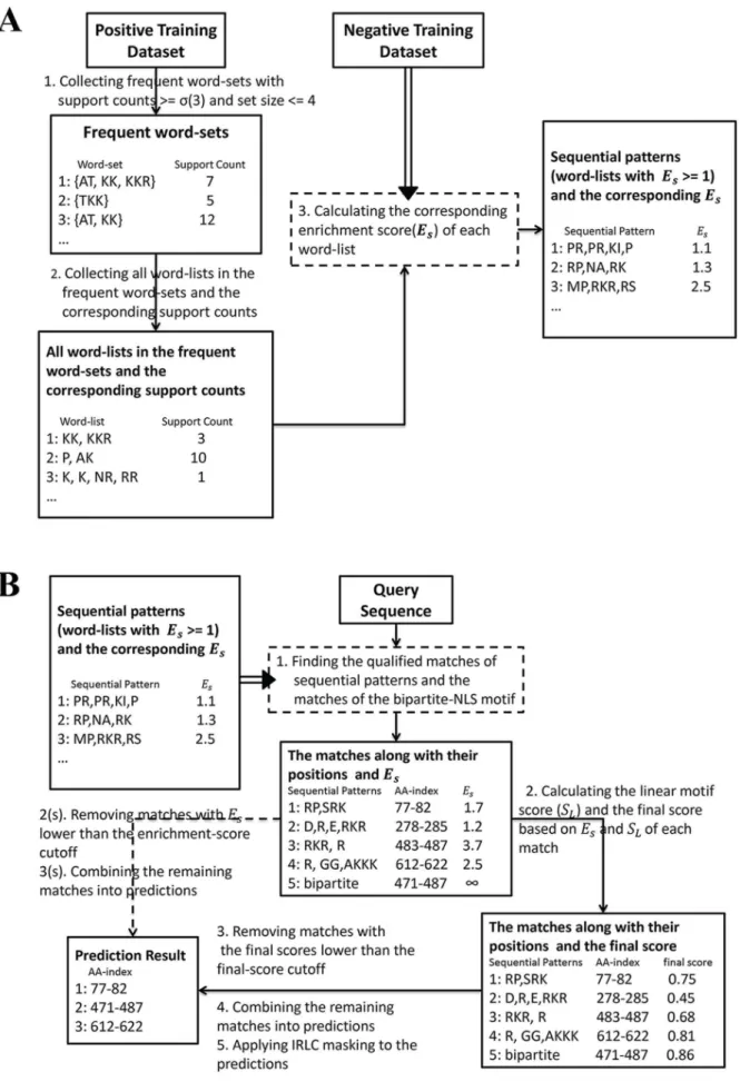 Figure 1. The flow charts of predicting NLS. (a) The flow chart of mining the sequential patterns