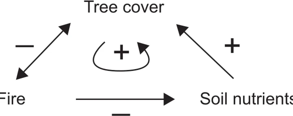 Figure 2. The relations between tree cover, fire and soil nutrients. Nutrients may reinforce the positive feedback that creates alternative stable states in tree cover.
