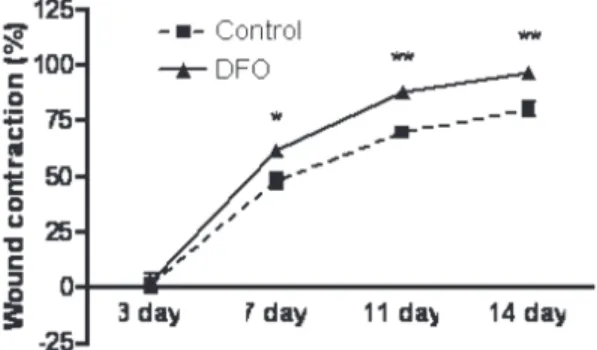 Fig. 1a shows the gross appearance of wound in DFO-treated and control rats on different Fig.1b:  Per cent wound contraction in DFO-treated rats in comparison to control on days 3,7, 11 and 14 post-wounding