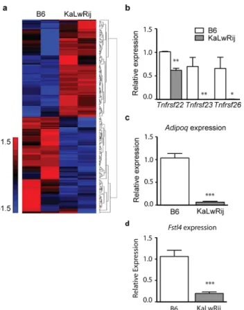 Fig 4. KaLwRij bone marrow stromal cells (BMSCs) have altered gene expression profiles independent of Samsn1 