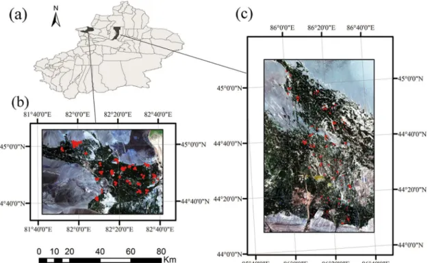Fig 1. Study areas: (a) Location of Bole and Manas in Xinjiang and extent of Xinjiang