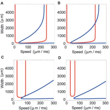 Figure 6. Width versus speed in the mathematical model for different values of the threshold k 