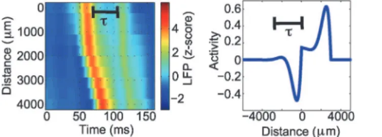 Figure 8. Illustration of the parameter β in the mathematical model estimated from the LFP data