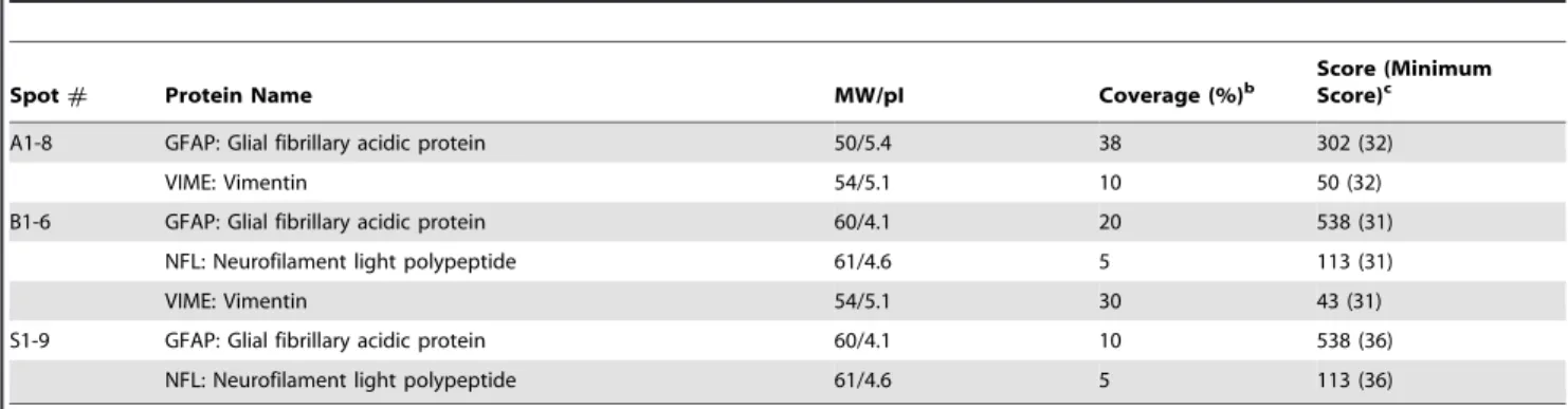 Table 2. Acetylated Lysine and Peptides of GFAP Identified by LC-MS/MS a .
