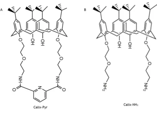 Fig. 7: Compostos derivados de p-terc-butilcalix[4]areno. A) Calix-Pyr e o B) Calix NH 2 
