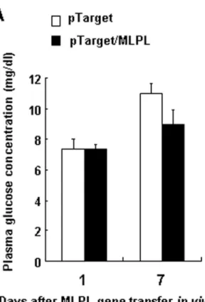 Figure 3.  Effects of MLPL gene transfer on plasma glucose and TG.  Variations in plasma glucose (A) and TG (B) after MLPL gene transfer in vivo
