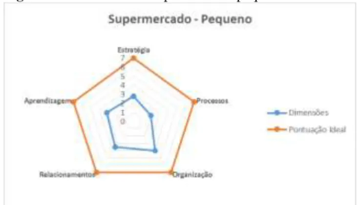 Figura 3 - Gráfico radar supermercado micro 