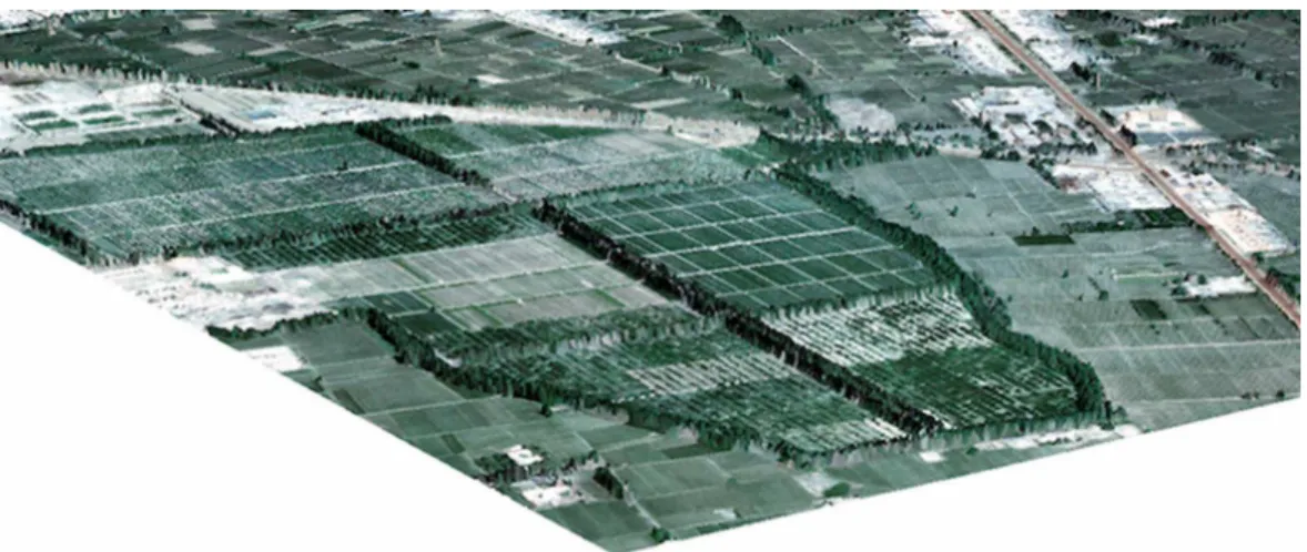 Fig. 2. Example of 3-D rendering of the South-West part of the Yingke area obtained by combination of the LIDAR Digital Surface Model and the high resolution image simultaneously acquired by the CCD camera installed together with the LiteMapper.