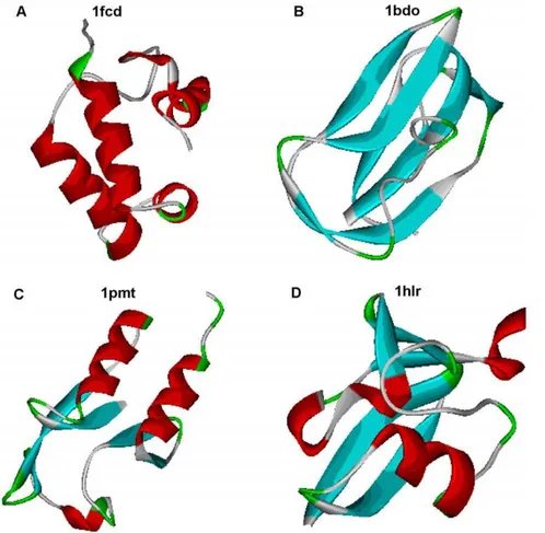 Figure 6. Protein structures from four general structural classes with the same length of proteins (80 amino acid residues) and the same fraction of residues in loop region (0.55).