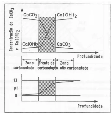 Figura 2.2- Zonas envolvidas no mecanismo de carbonatação e variação do pH ao longo da profundidade  [19]