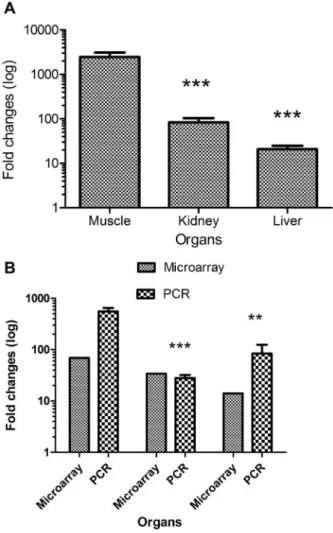 Figure 3. Comparison of mRNA expression fold changes. Fold changes of mRNA expression post allogeneic transplantation relative to control