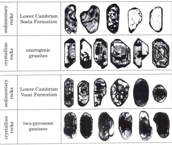 Fig. 7. Morphologies of 0.1-0.05 mm zircons of Precambrian crystalline rocks and overlying Lower Cambrian  sedimentary rocks (southwestern Estonia)