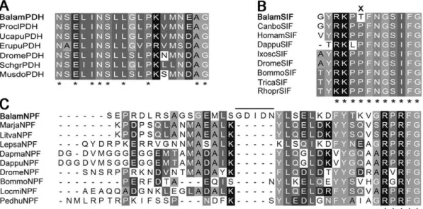 Figure 2. Comparison of barnacle sulfakinin peptide with other arthropods. (A) Sequence alignment of mature sulf