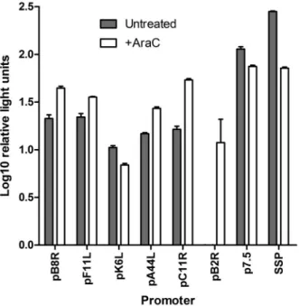 Figure 2. Activity of endogenous promoters compared to p7.5 and SSP in vitro . BHK cells were infected with 1 pfu/cell of recombinant MVA carrying tPA-Pb9-rLuc8PV under the control of the indicated promoters
