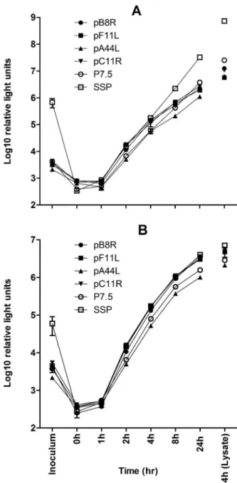 Figure 3. Timecourse of endogenous promoter activities compared to p7.5 and SSP in vitro 