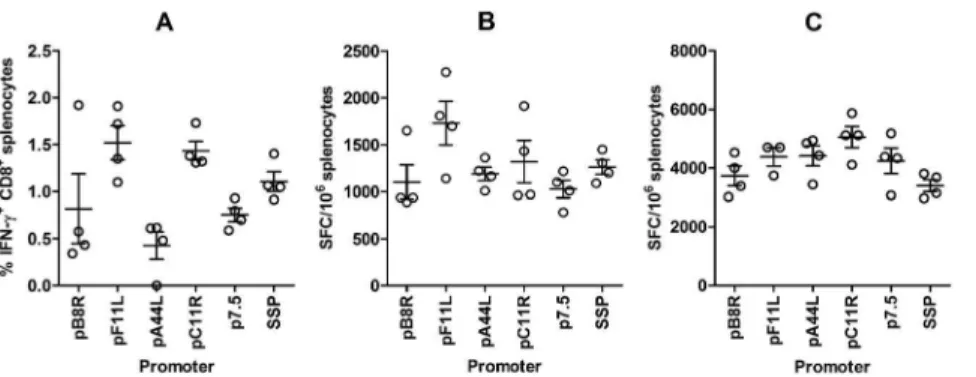 Figure 5. (A) Timecourse of activity of mH5 promoter compared to p7.5 in vitro. BHK cells were ‘‘spinoculated’’ (see Materials and Methods) with 1 pfu/cell of recombinant MVA carrying tPA-Pb9-rLuc8PV under the control of the indicated promoters