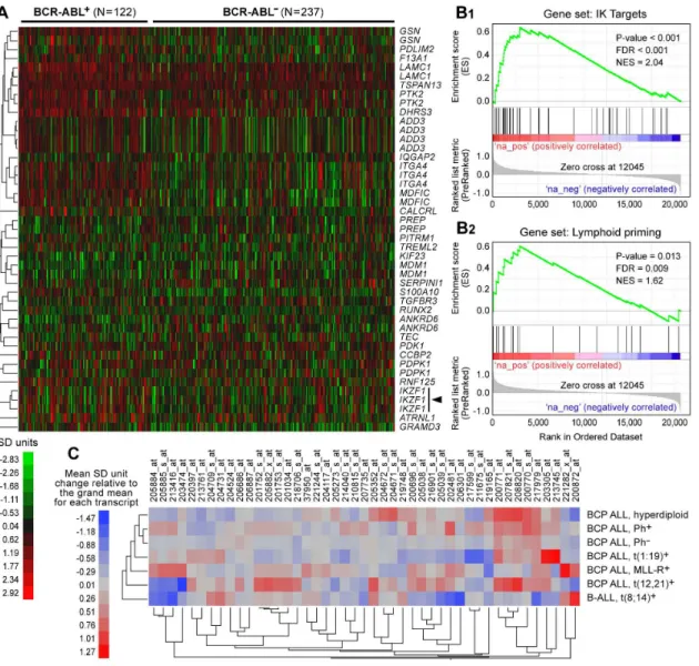 Figure 5.  Transcript Levels of Ikaros Target Genes in Primary Leukemia Cells from Pediatric Ph - /BCR-ABL -  and Ph  +  /BCR- /BCR-ABL +  BPL Patients on the MILE Study