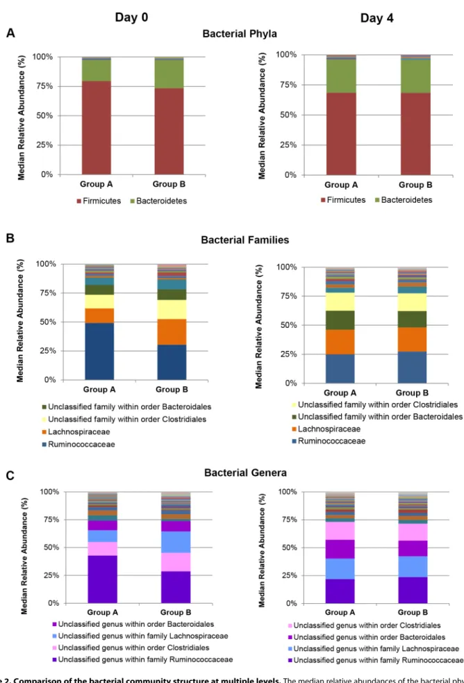 Figure 2. Comparison of the bacterial community structure at multiple levels. The median relative abundances of the bacterial phyla in the faeces of Group A and B horses, on Days 0 and 4, are illustrated in the figure, panel (A)