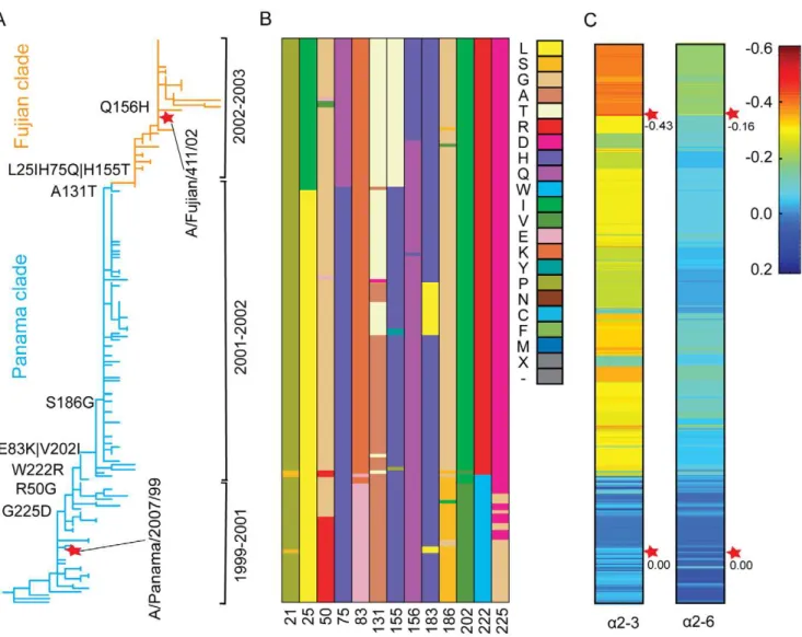 Figure 2. Evolution of receptor binding specificity of the Panama- and Fujian-like viruses