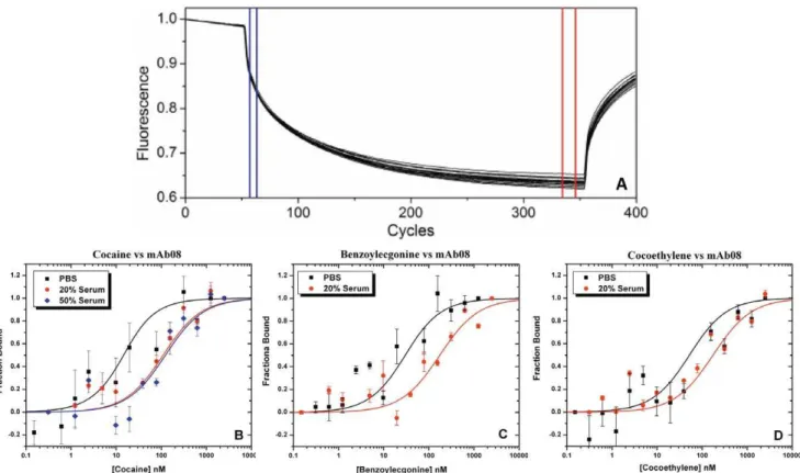 Figure 2. Thermophoresis raw data of f -mAb08 binding to different concentrations of cocaine from 1500 to sub-nanamolar range (A)