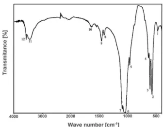 Table 3. Spectral positions of basic IR absorption bands of BHAp composites