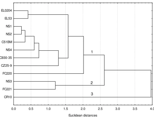 Figure  1.  UPGMA  dendrogram  for  cluster  analysis  of  morphological  traits  in  observed  sugar  beet  pollinators 