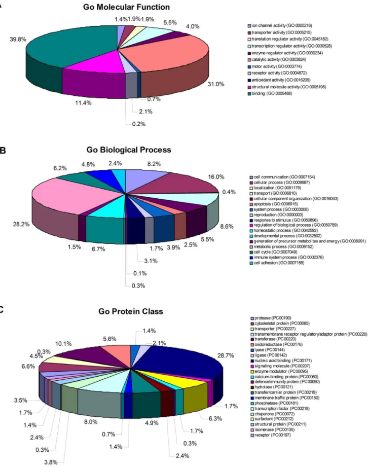 Figure 4. Functional annotation of differential proteins identified from normal ch HES-3 cells and karyotypically aberrant ch HES-3 cells