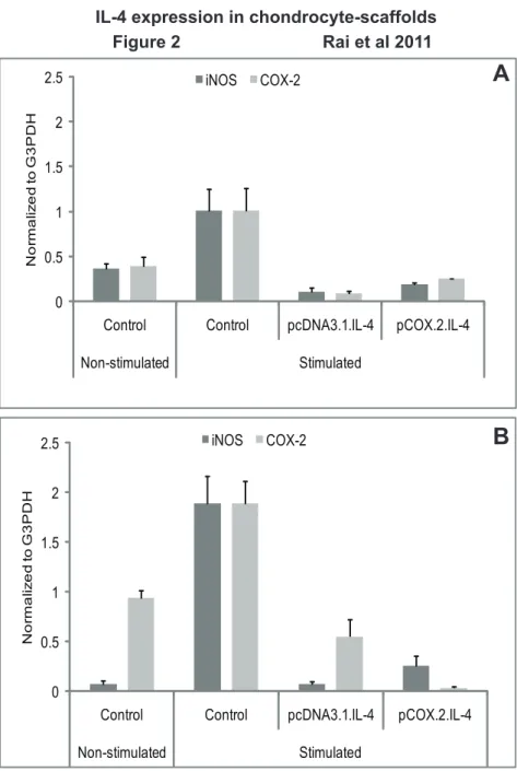 Figure 2. mRNA expression of enzyme mediators. IL-4 transfected (pcDNA3.1.cIL-4 and pCOX-2.cIL-4) and non-transfected chondrocytes were seeded in alginate microspheres (A) and in CaReS H matrixes (B)