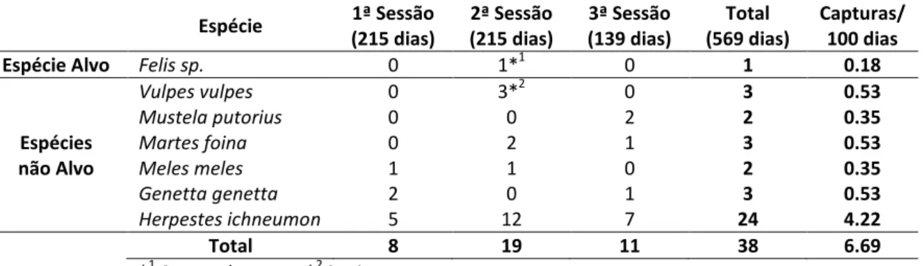 Tabela 5 – Registo de capturas de carnívoros nas três sessões de armadilhagem de caixa e  respectivas taxas de captura
