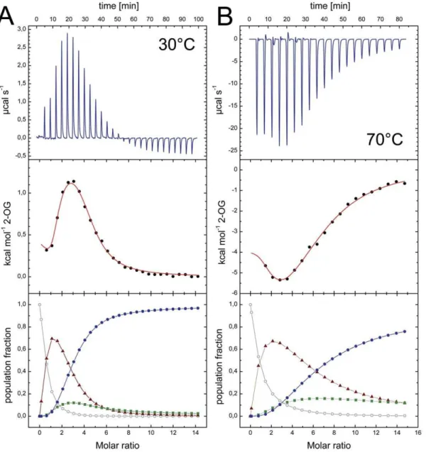 Figure 6. 2-OG binding to Af- GlnK3 and temperature dependence. A) A titration at 30uC shows an initial endothermic event indicating an entropy-driven process that is followed by a strongly exothermic, enthalpy-driven event
