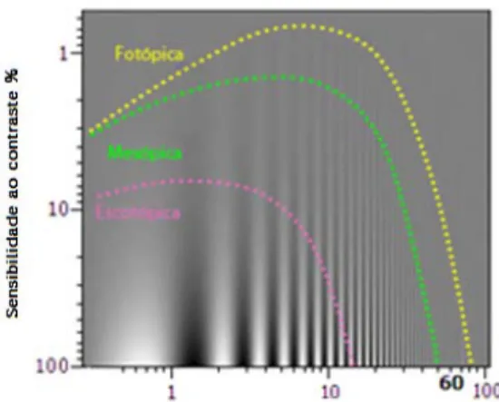 Figura 1.4 - Função de sensibilidade ao contraste (adaptado de (15)). 