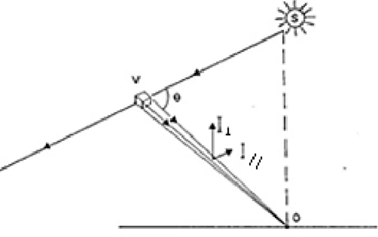 Figura 1.7 - Esquema de medição usando a polarização da luz (adaptado de (28)). 