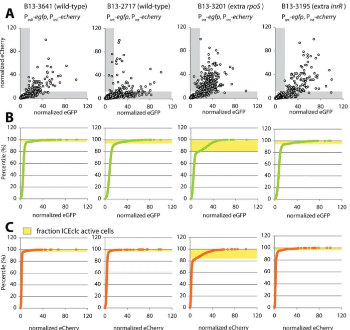 Figure 6. Noise in reporter gene expression from two separately placed single-copy identical promoters (P int or P inR ) in P.