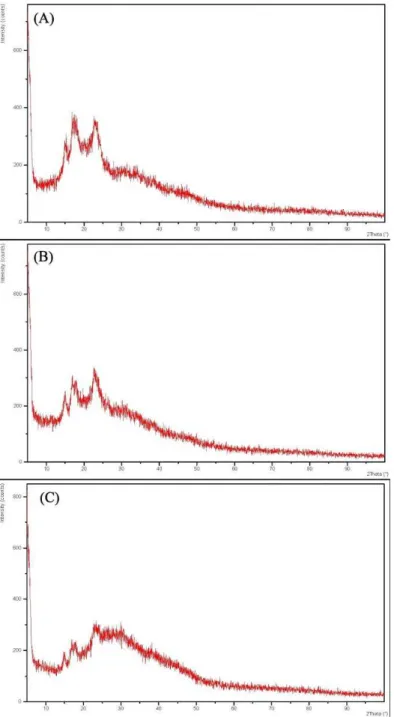 Figure 3 Scanning electron micrograph of (A) NF, (B) HTr and (C) HTo 